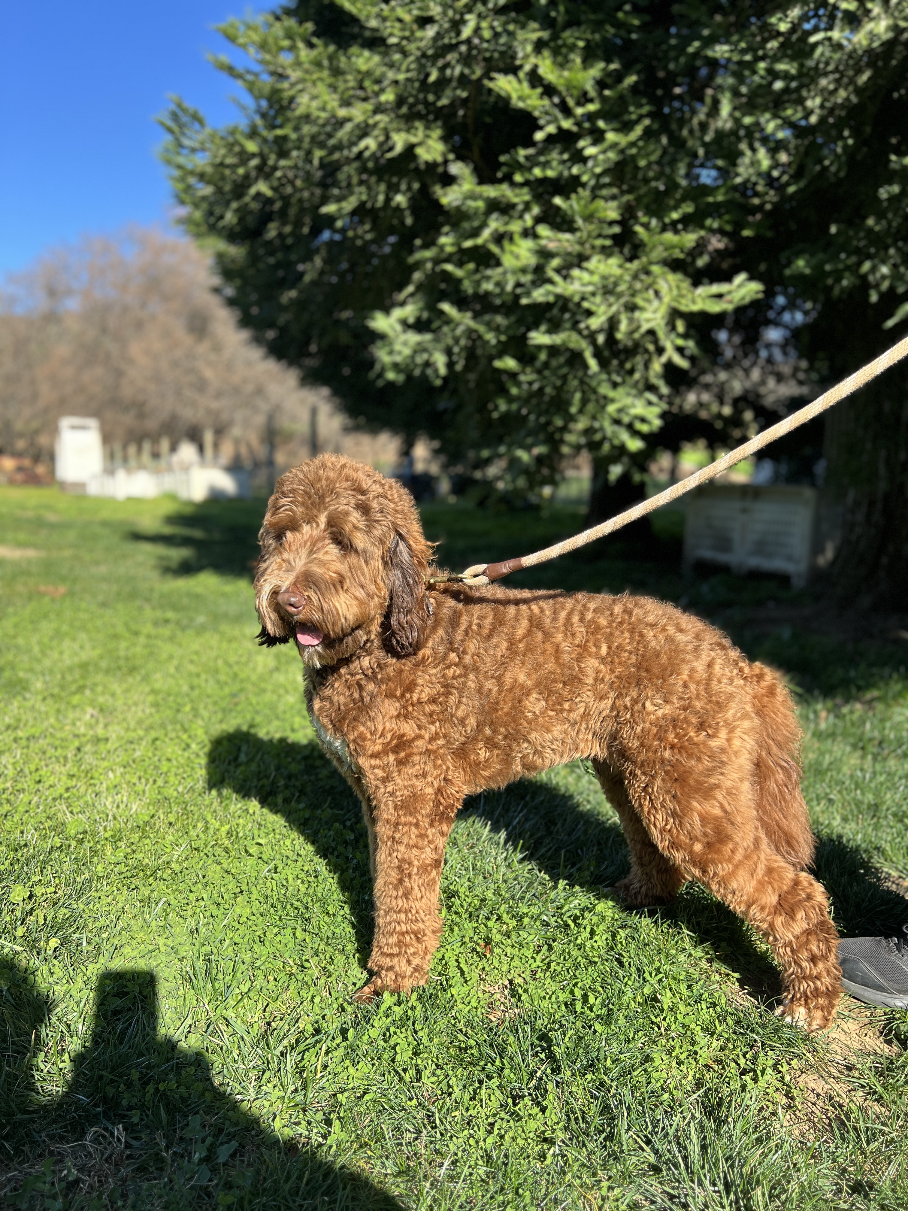 img_3856-2.jpg?w=768